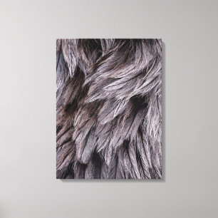 Ostrich Feathers Canvastryck
