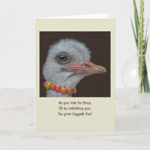 Ostrich fläkt-kort tack kort