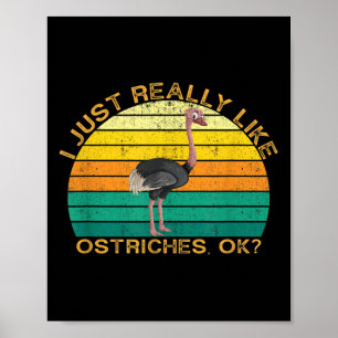 Ostrich Funny Animal Quote med Vintage Shape Desi Poster