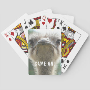 Ostrich GAME ON Casinokort