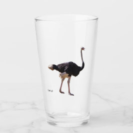 Ostrich glass glaskopp