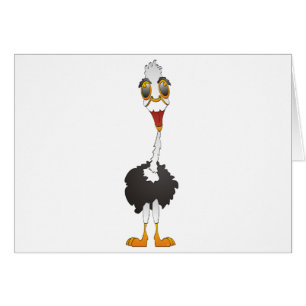 Ostrich Hälsningskort