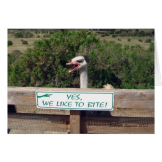 Ostrich Hälsningskort