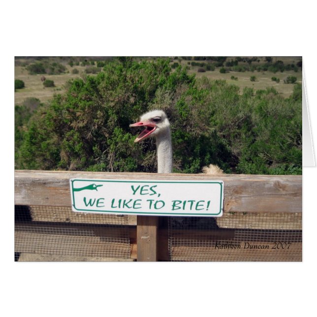 Ostrich Hälsningskort (Framsidan Horizontal)