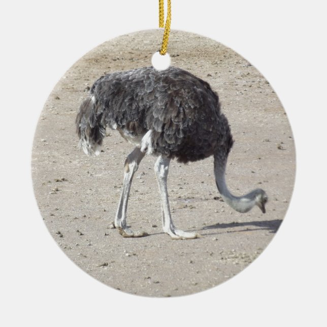 Ostrich Julgransprydnad Keramik (Framsidan)