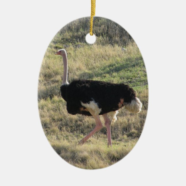 Ostrich Julgransprydnad Keramik (Framsidan)