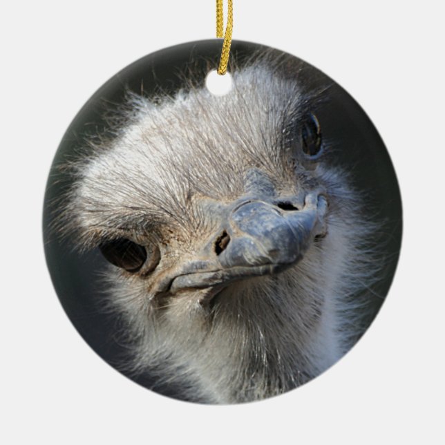 Ostrich Julgransprydnad Keramik (Framsidan)