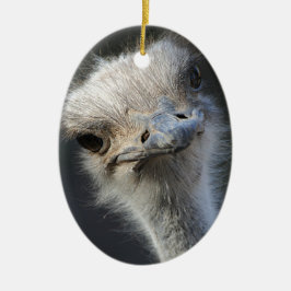 Ostrich Julgransprydnad Keramik