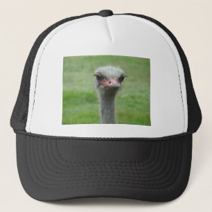Ostrich Keps