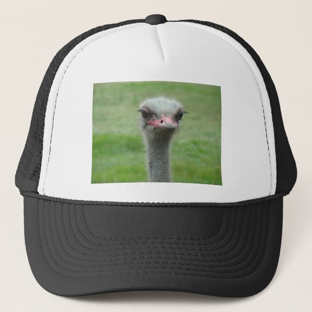 Ostrich Keps (Framsida)