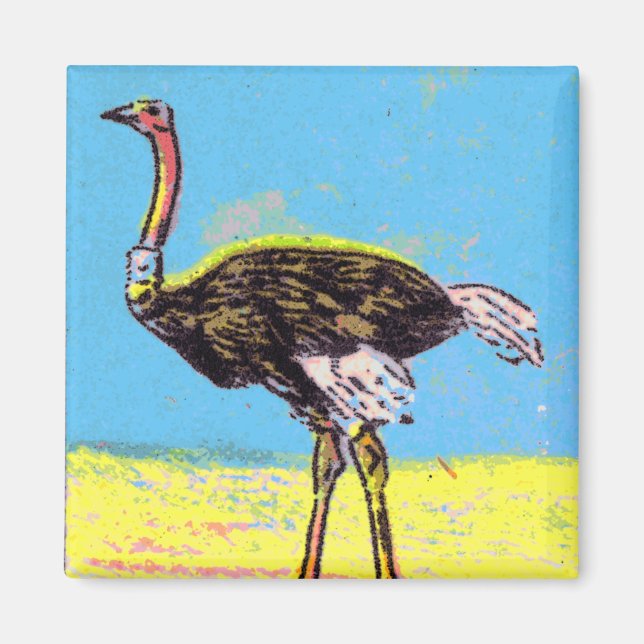 Ostrich Magnet (Framsidan)