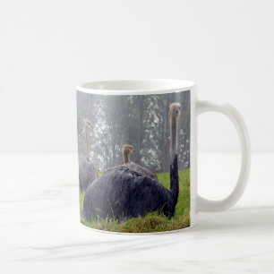 Ostrich Mugg