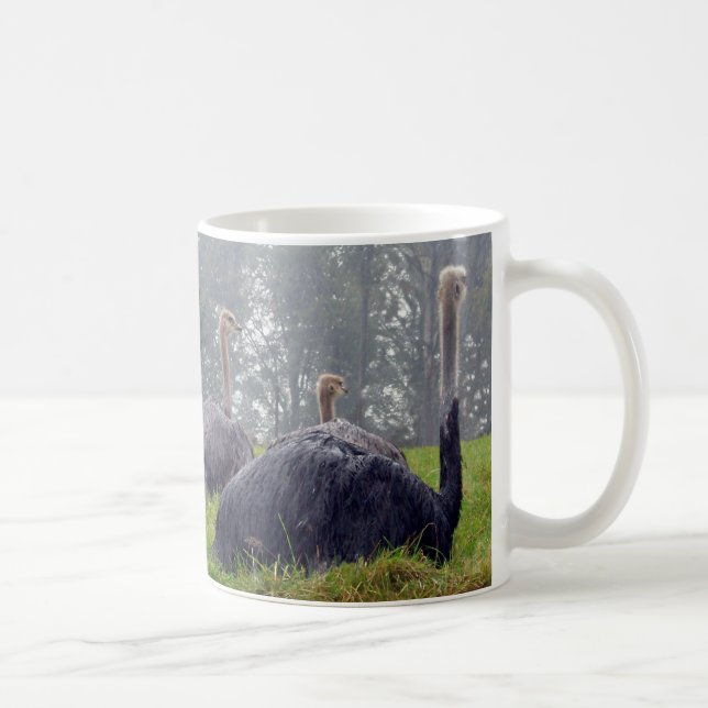 Ostrich Mugg (Höger)