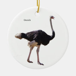 Ostrich ornament