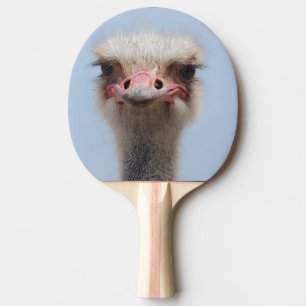 Ostrich Pingisracket