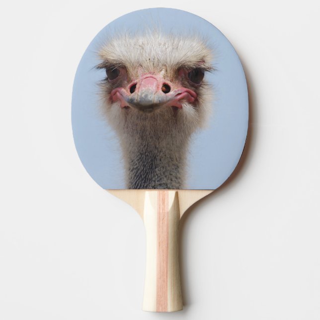 Ostrich Pingisracket (Framsidan)
