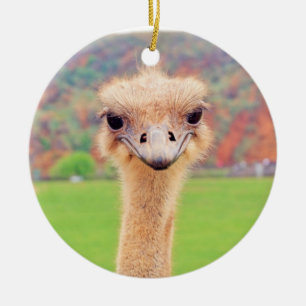 Ostrich porträtt julgransprydnad keramik
