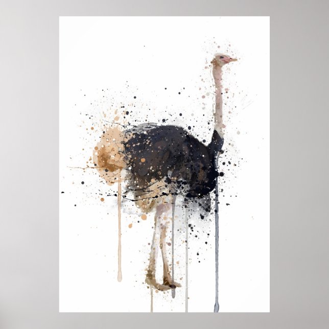 Ostrich Poster (Framsidan)