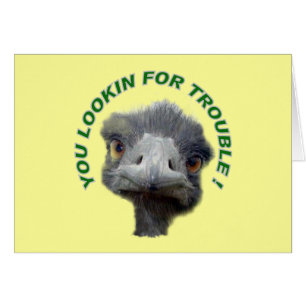Ostrich-problem Hälsningskort