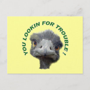 Ostrich-problem Vykort