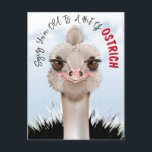 Ostrich Pun Funny Birthday Vykort<br><div class="desc">Strutsar är Roligt.</div>