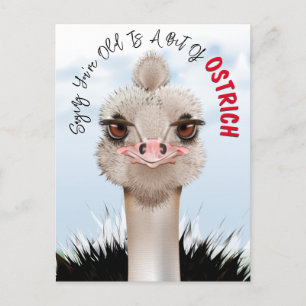 Ostrich Pun Funny Birthday Vykort