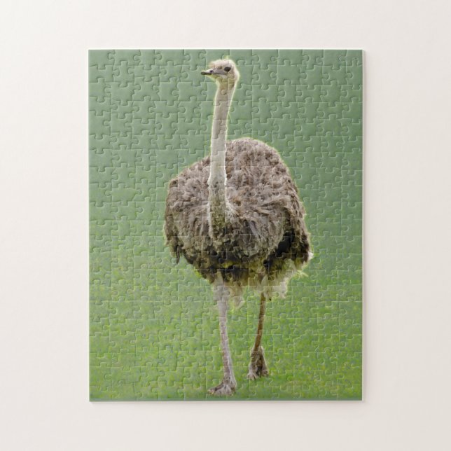 Ostrich Pussel (Vertikal)