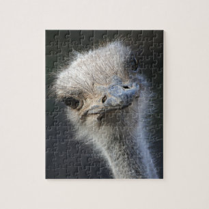 Ostrich Pussel
