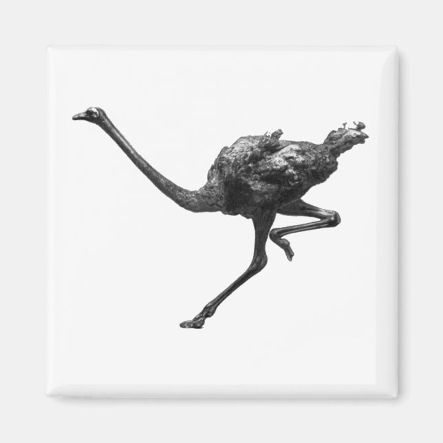 Ostrich RunCoola Idrottsman Animal Art Art Magnet (Framsidan)