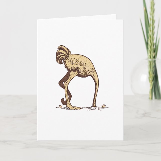 OSTRICH SAND KORT (Framsida)