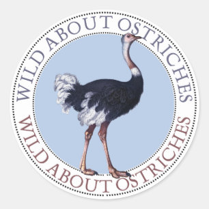 Ostrich Stickers Runt Klistermärke