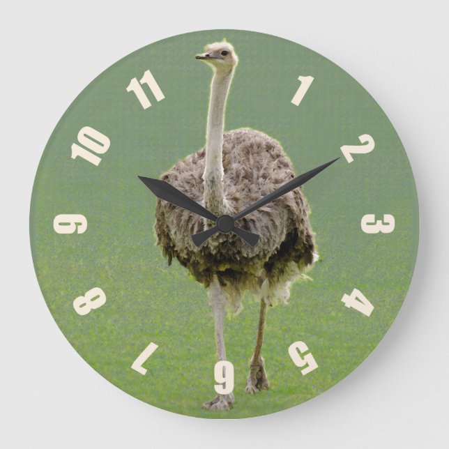 Ostrich Stor Klocka (Framsida)