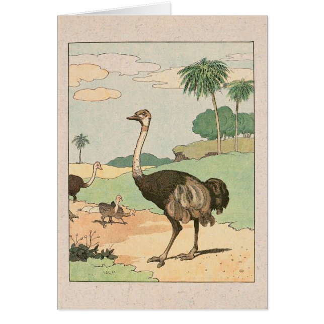 Ostrich Storykook Illustrated Note Card Hälsningskort (Framsidan)