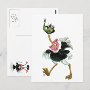 Ostrich Tävling i träsket Vykort