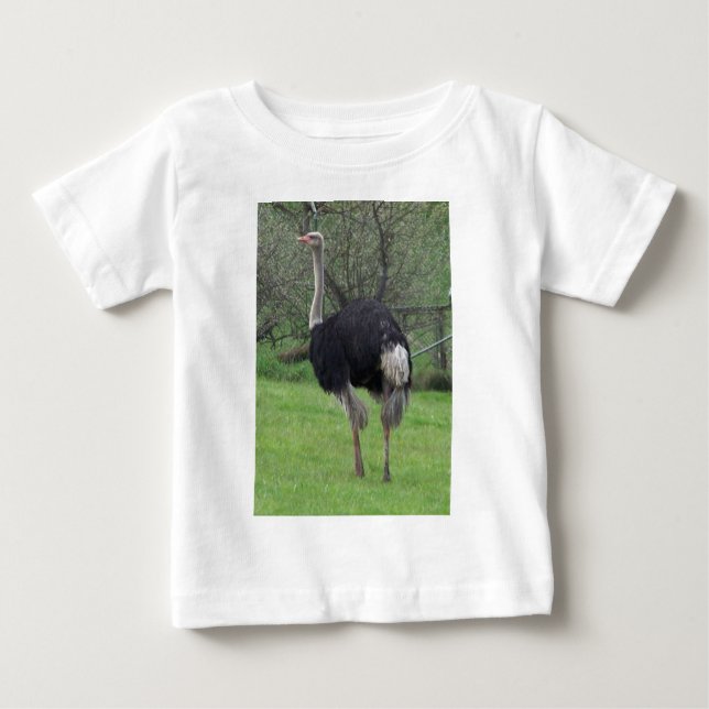 Ostrich Tee (Framsida)