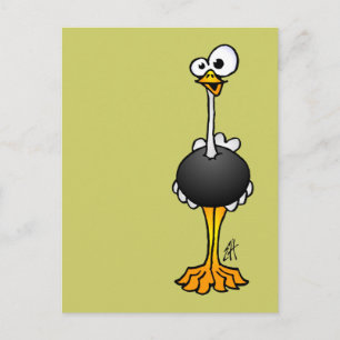Ostrich Vykort