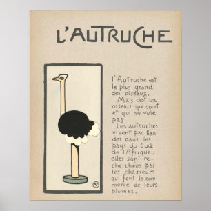 Ostrichaffisch Poster