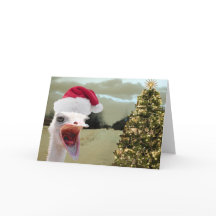 Ostrichen får upphetsad över jul
