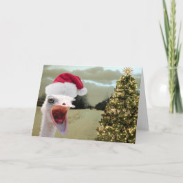 Ostrichen får upphetsad över jul helgkort