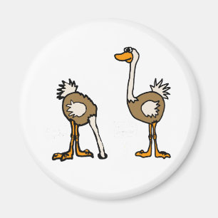 Ostriches AE i Sand Magnet