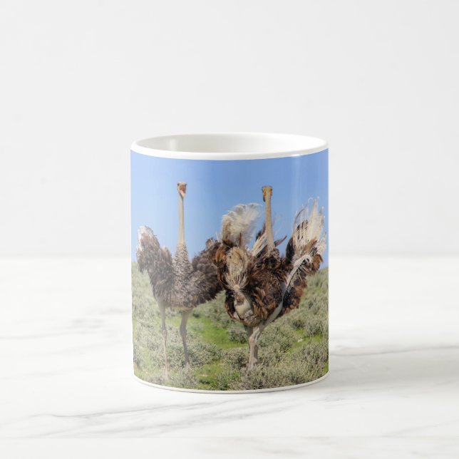 Ostriches bird Coffee Mugg (Center)