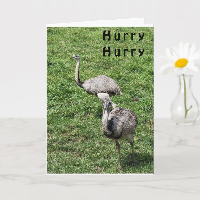 OSTRICHES SAYS LYCKLIG **APRIL BIRTHDAY** KORT (Liten växt)
