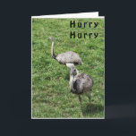 OSTRICHES SAYS LYCKLIG **APRIL BIRTHDAY** KORT<br><div class="desc">JAG ÄR MER SKAPAR I DAG,  MEN OM DU TYCKER OM DET HÄR OCH DET MÅSTE SÄGA NÅGON ANNAN MÅNAD... . - TA ETT TILLFÄLLE OCH ÄNDRA DET OCH TACKEN SÅ MYCKET FÖR ATT STOPPA MED ETT AV MINA NINA LAGER HÄR I ZAZZLE. HA EN "UNDERBAR DAG"</div>
