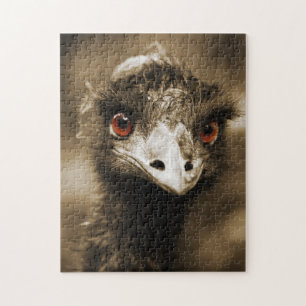 Ostriches Se fotopussel