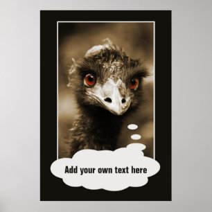 Ostriches Search-anpassningsbarna poster