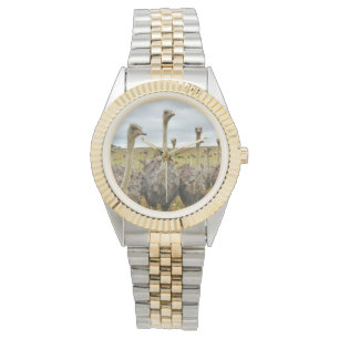 Ostrichfågel Armbandsur