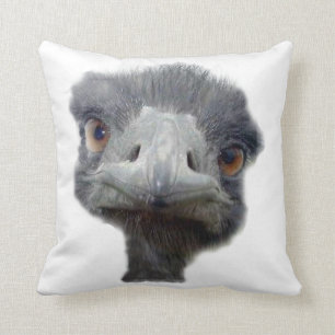 Ostrichhuvud Kudde