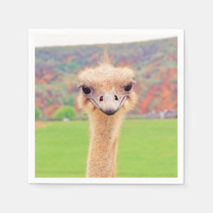 Ostrichporträtt Pappersservett