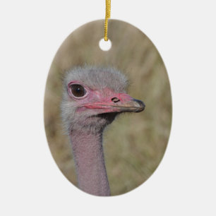 Ostrichprydnad Julgransprydnad Keramik