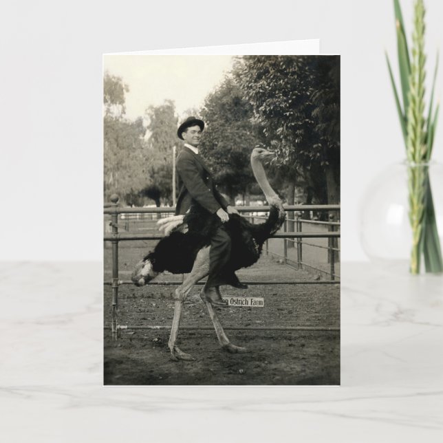 Ostrichridning 1910 kort (Framsida)